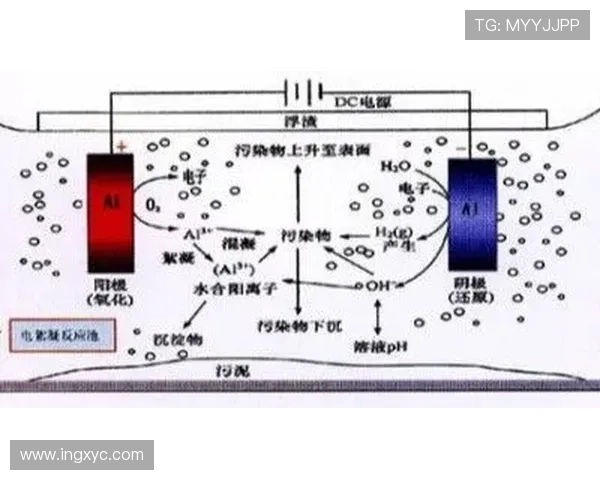 对方防守姚明的策略解析与应对方法探讨